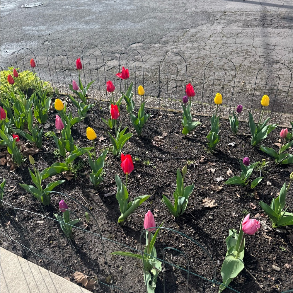 Meet your Posher, Audra!